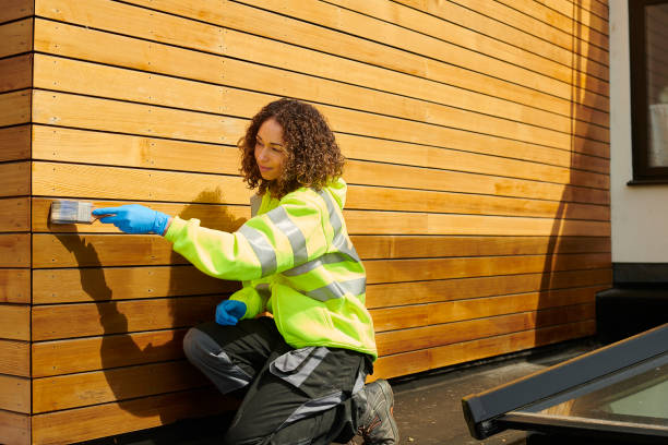 Best Custom Siding Design  in Fayette, LA